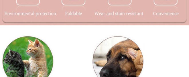  Comprehensive Guide to Ideal Pet Products Dog Door Replacement Parts for Optimal Performance